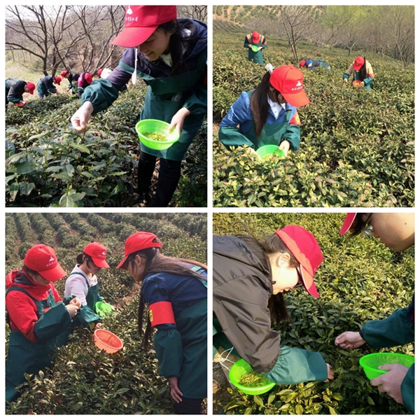QQ图片20160328102954.jpg